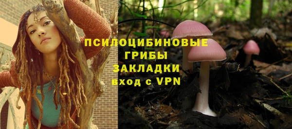 соль ск Богданович