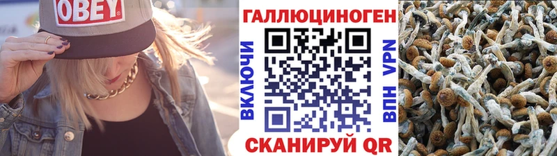 Псилоцибиновые грибы Psilocybe  Малоярославец 
