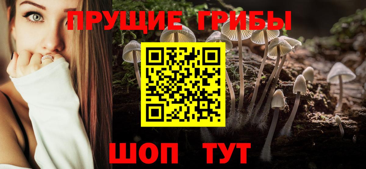 Малоярославец  наркошоп  Вход с VPN  Псилоцибиновые грибы мухоморы  Псилоцибиновые грибы Magic Shrooms 